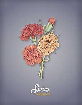 春天开花的花卉背景矢量插画