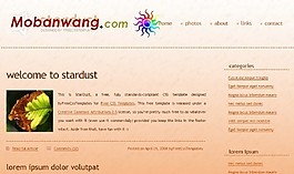 星尘主题日志网页模板