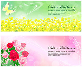 淡雅花蝴蝶banner