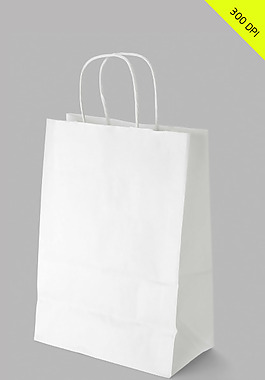 企业VI提案 精品手提袋模版