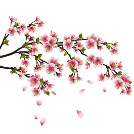 美丽桃花矢量素材