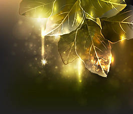 幻彩树叶矢量图