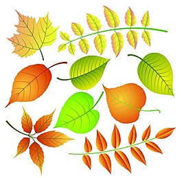 树叶矢量素材