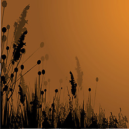 矢量素材落日下的杂草剪影