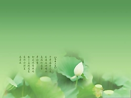 荷花PPT模板