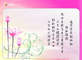 精美荷花背景PPT模板  ppt模板下载