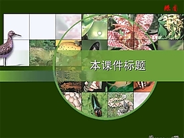 生物教学课件PPT模板