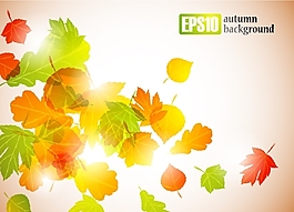 矢量动感秋叶缤纷图片素材