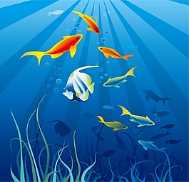 矢量海底鱼类素材背景