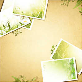 矢量植物绿叶相片背景素材