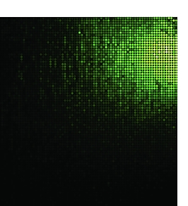 璀璨绿色科技背景矢量素材