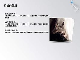 浅色PPT模板