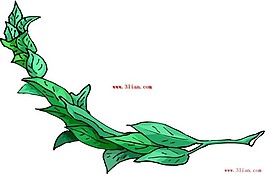 矢量花边
