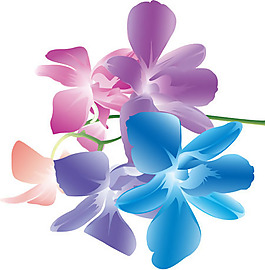 五彩的鲜花