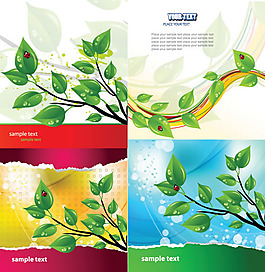 绿色植物叶子