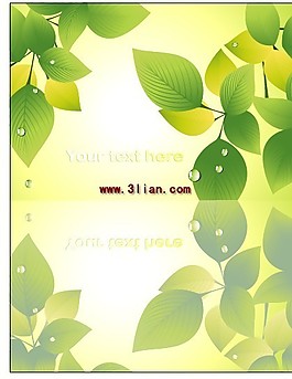 叶子 阳光
