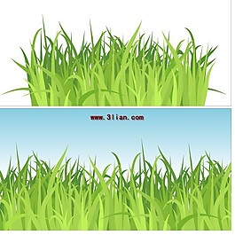 矢量绿色植物
