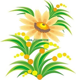 花儿素材