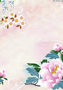 牡丹花