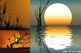 夕阳风光