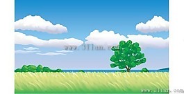 麦田风光