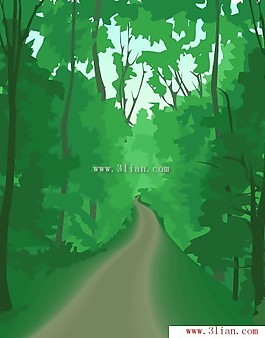 树林间小路