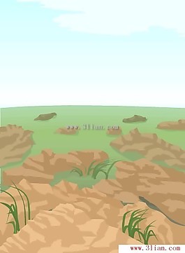 草地风景