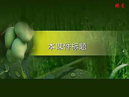 生物学科教学课件ppt模板免费下载