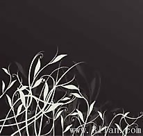 黑色底纹花纹