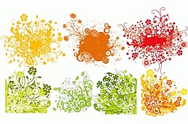 精美花纹