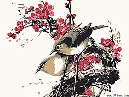绘画鸟儿