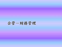 企业管理之财务管理ppt模板