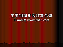 医疗行业PPT模板