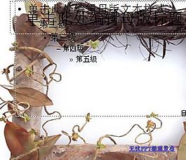 树枝叶艺术相框