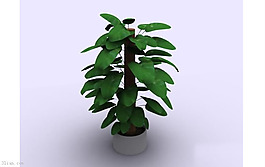室内盆栽植物3D模型
