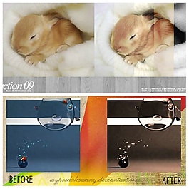 变色工具ps动作