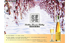 张裕冰酒葡萄酒广告PSD素材