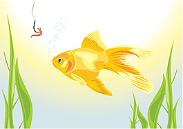 金色金鱼观赏鱼矢量素材