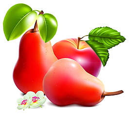 蔬菜水果矢量图下载