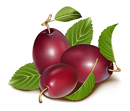 新鲜水果矢量图下载