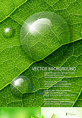 绿色植物设计矢量素材下载