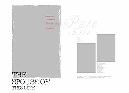 纯色爱情 婚纱模版 灰色