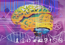 医疗饮食科学研究分析大脑的营养健康