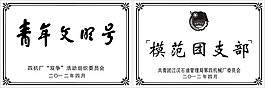 青年文明号模范团支部奖牌设计模板
