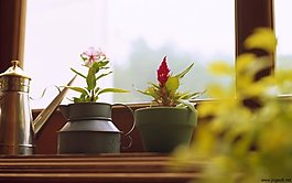 超清温馨家居壁纸