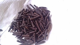 调料荜拨