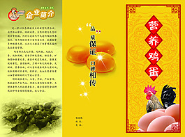 鸡蛋三折页
