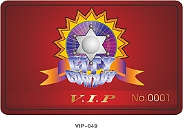vip贵宾卡