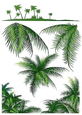 椰树矢量素材