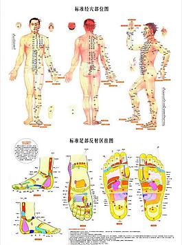 人体经络图图片